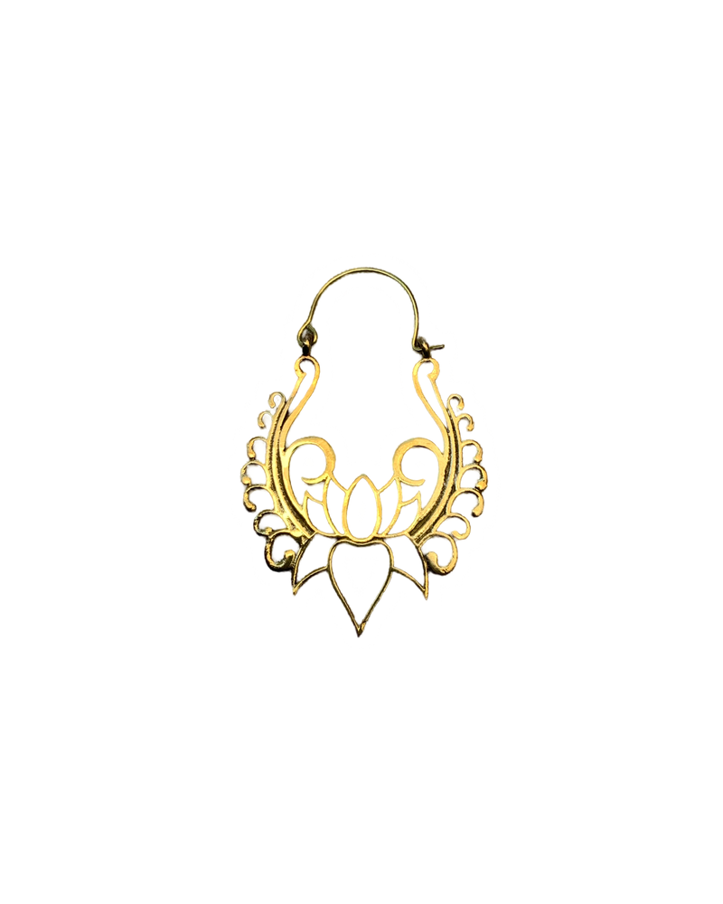 Brass Earrings